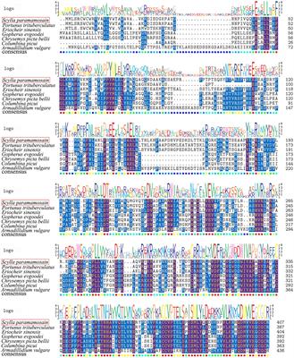 Bone Morphogenetic Protein 2 Is Involved in Oocyte Maturation Through an Autocrine/Paracrine Pathway in Scylla paramamosain